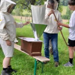 Mehr über den Artikel erfahren 19.06.24 / Imkerei-AG: In Eubabrunn schwärmen die Bienen