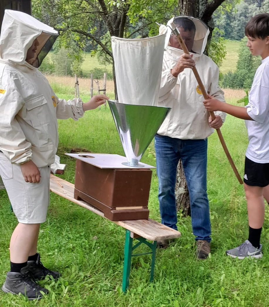 Du betrachtest gerade 19.06.24 / Imkerei-AG: In Eubabrunn schwärmen die Bienen